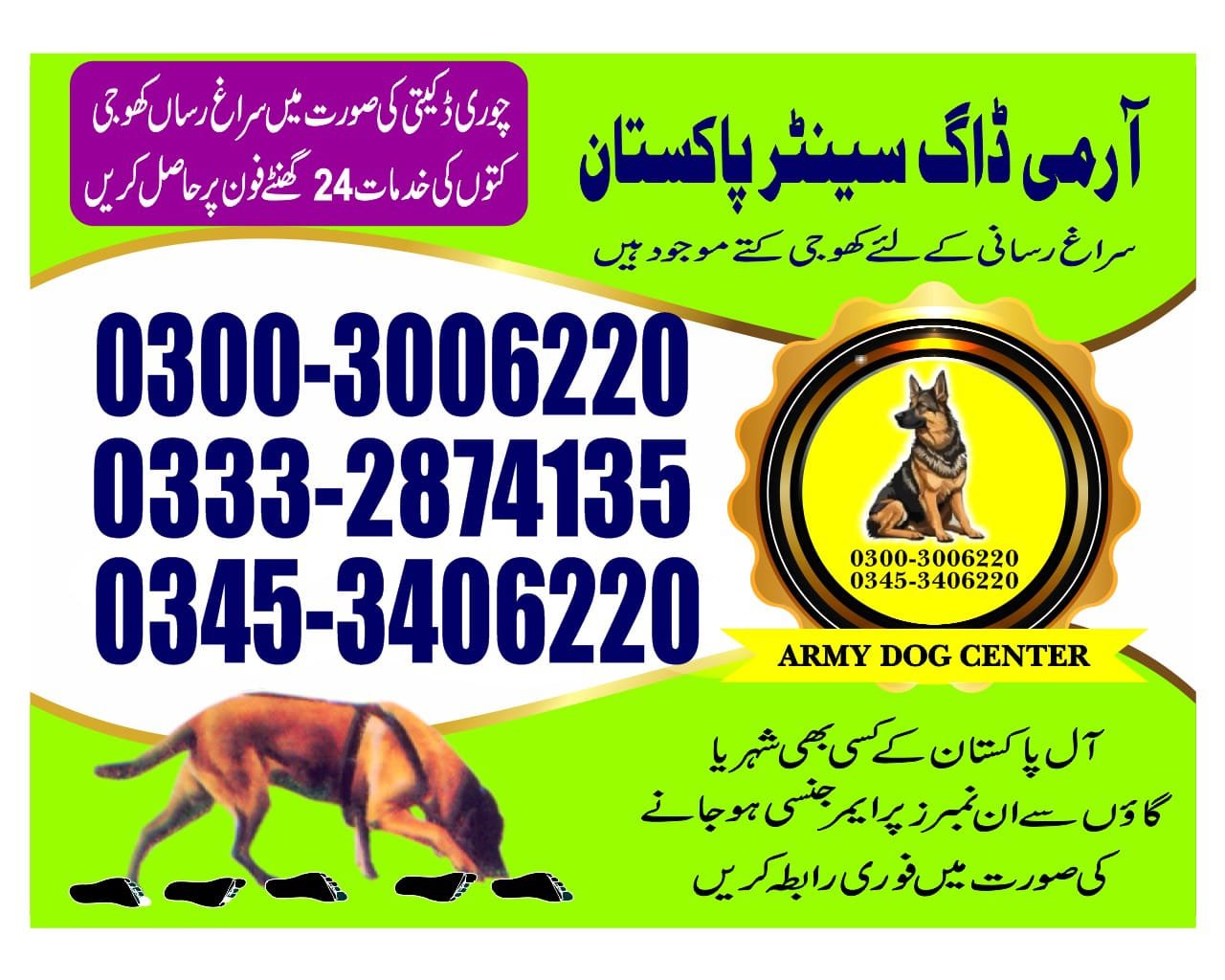 Professional Army Dog Center Sadqabad - Trained German Shepherd for Security Services