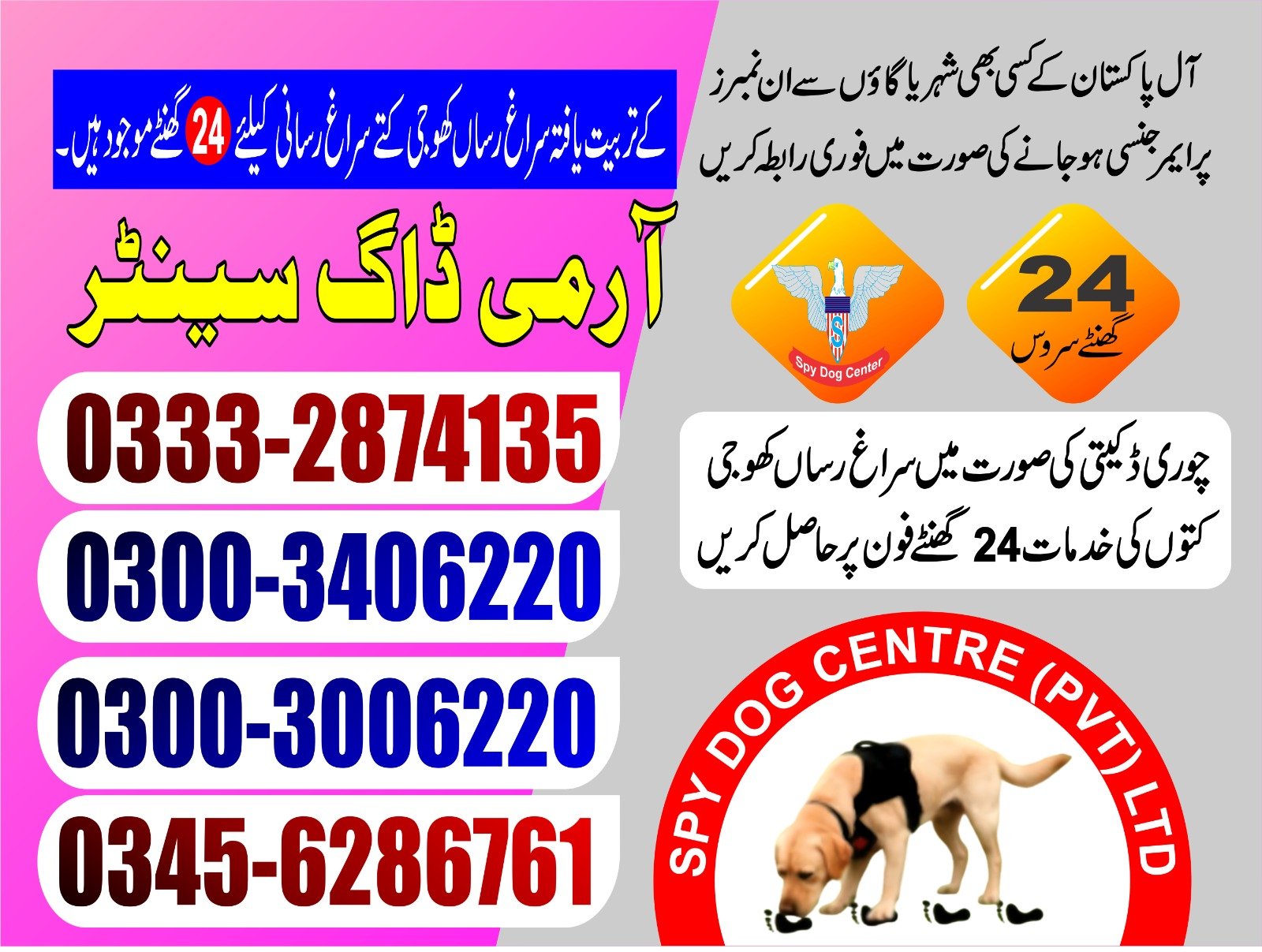 Professional Army Dog Center Sahiwal - Trained German Shepherd for Security Services