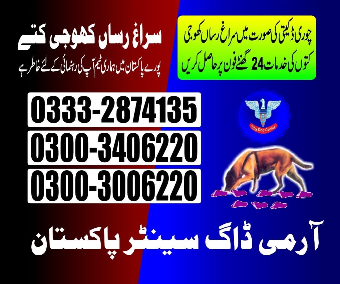 Professional Army Dog Center Shadiwal - Trained German Shepherd for Security Services