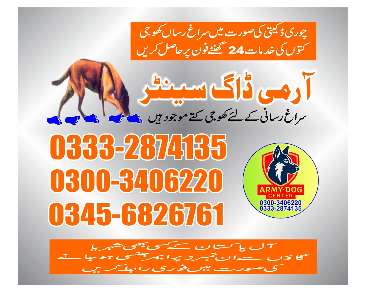 Professional Army Dog Center Shahkot - Trained German Shepherd for Security Services
