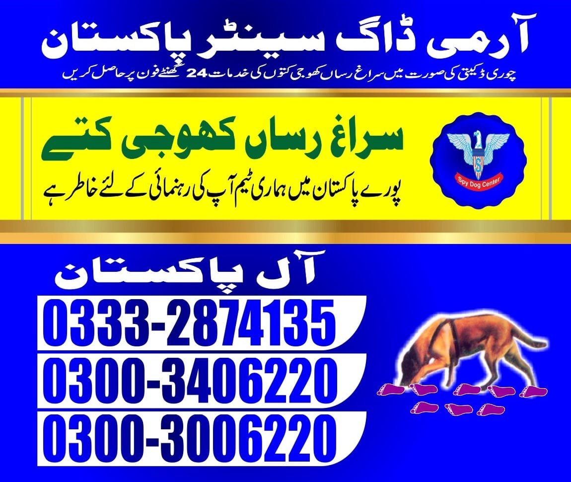 Professional Army Dog Center Sohawa - Trained German Shepherd for Security Services