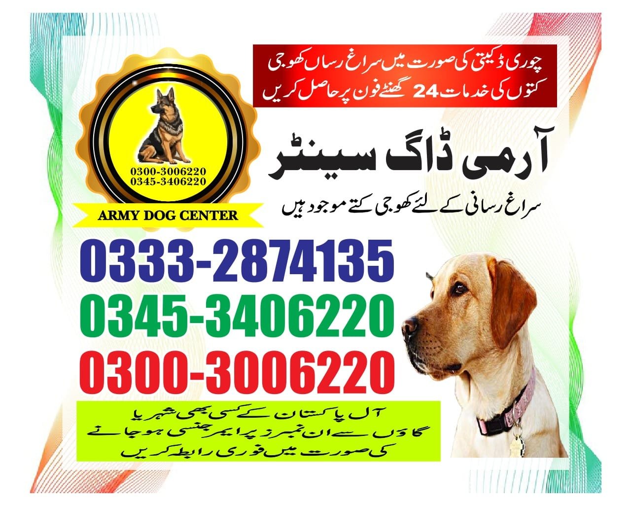 Professional Army Dog Center Tando Allahyar - Trained German Shepherd for Security Services