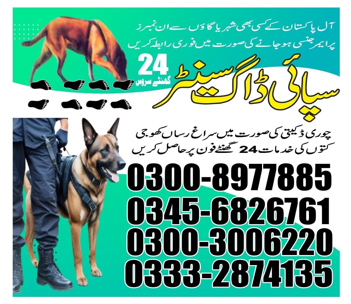 Professional Army Dog Center Upper Dir - Trained German Shepherd for Security Services